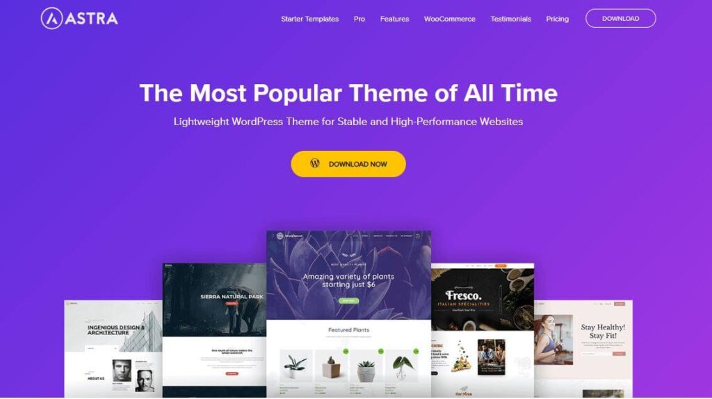 Well-Designed WordPress Themes astra