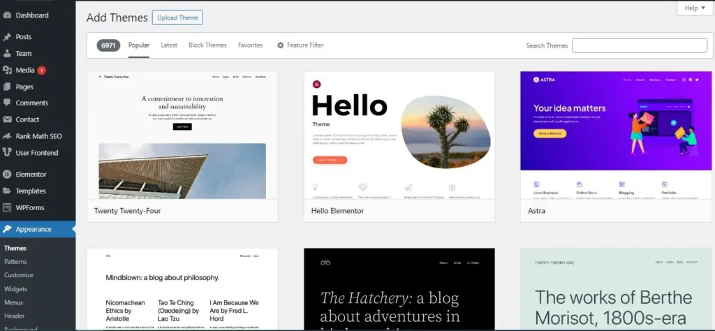 How to Set Up Your Blog on WordPress: theme
